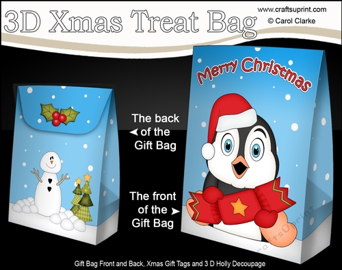 3D Christmas Gift Bag Mini Kit - Cute Penguin has an Xmas Cracker