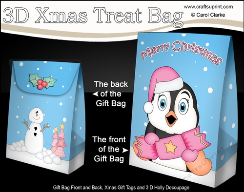 3D Christmas Gift Bag Mini Kit - Cute Penguin has an Xmas Cracker