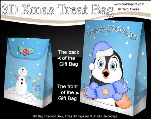 3D Christmas Gift Bag Mini Kit - Cute Penguin has an Xmas Cracker