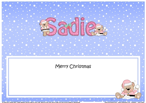 Large DL Merry Christmas SADIE insert