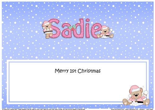 Large DL Merry 1st Christmas SADIE insert
