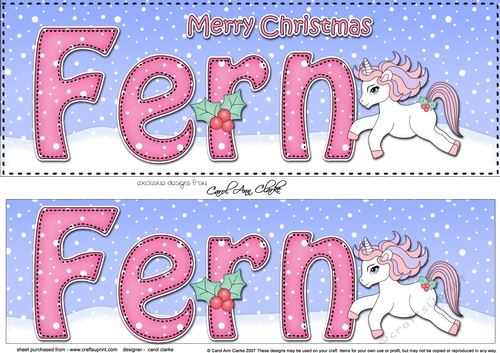 Large DL Merry Christmas FERN 3D decoupage 