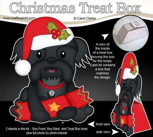 3D Christmas Treat Box Gift Set Mini Kit - Little Shih Tzu Dog