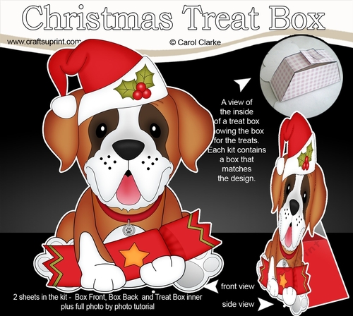 3D Christmas Treat Box Gift Set Mini Kit - Little St Bernard Dog