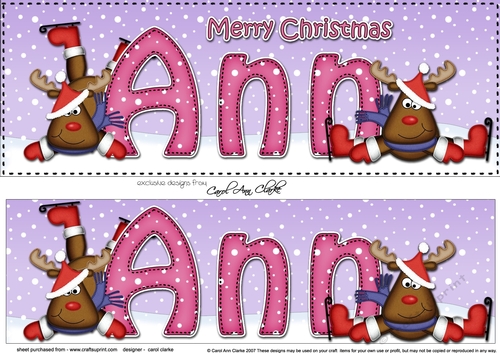 Large DL Merry Christmas ANN 3D decoupage 