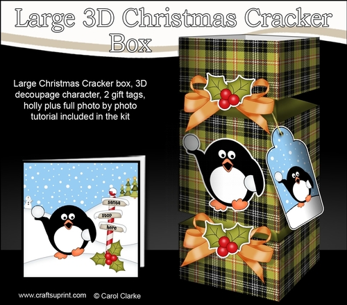 3D Large Christmas Cracker Box -  Tartan Pip Penguin