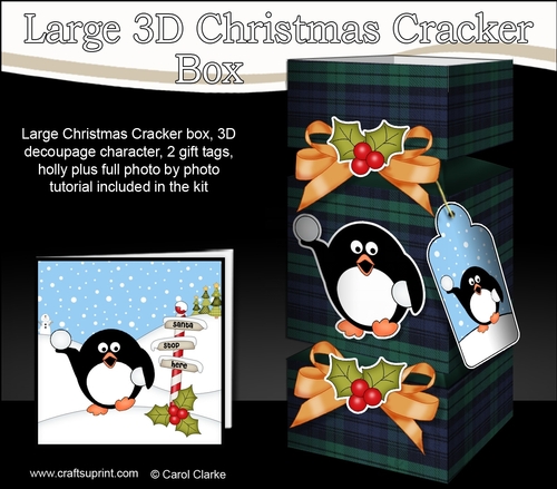3D Large Christmas Cracker Box -  Tartan Pip Penguin