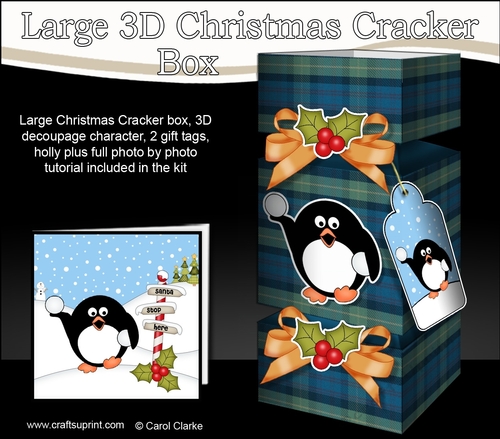 3D Large Christmas Cracker Box -  Tartan Pip Penguin