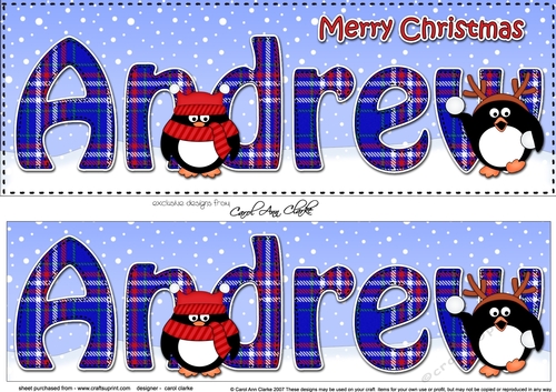 Large DL Merry Christmas ANDREW 3D decoupage 