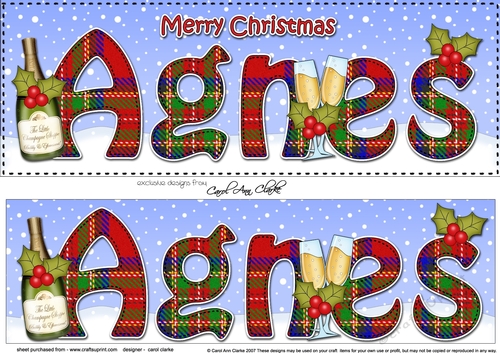 Large DL Merry Christmas AGNES 3D decoupage 