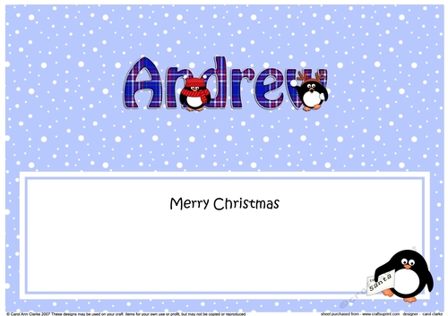 Large DL Merry Christmas ANDREW insert