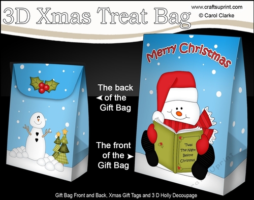 3D Christmas Gift Bag Mini Kit - Snowman Rio reads an Xmas Book