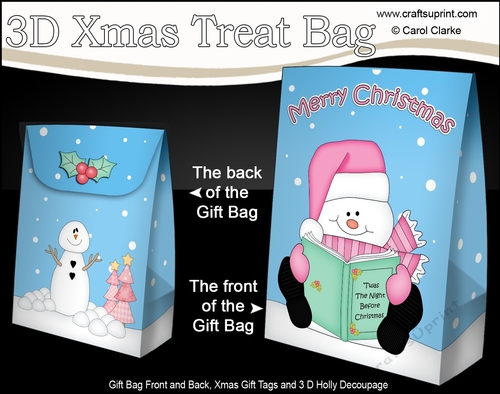 3D Christmas Gift Bag Mini Kit - Snowman Rio reads an Xmas Book