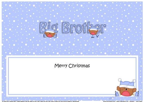 Large DL Merry Christmas BIG BROTHER insert with Robin