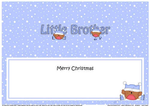 Large DL Merry Christmas LITTLE BROTHER insert with Robin