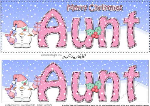 Large DL Merry Christmas AUNT 3D decoupage with Snowball Sam 