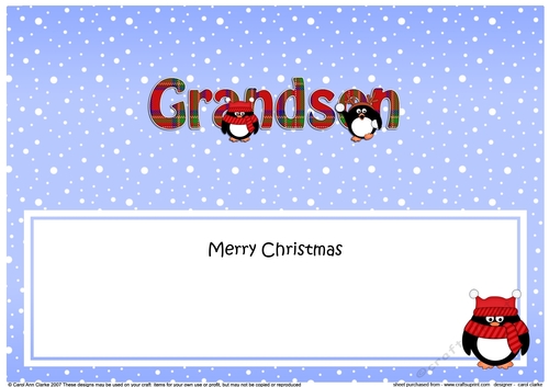 Large DL Merry Christmas GRANDSON insert with Tartan Penguins