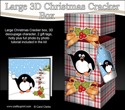 3D Large Christmas Cracker Box -  Tartan Pip Penguin