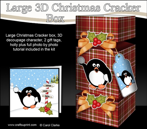 3D Large Christmas Cracker Box -  Tartan Pip Penguin
