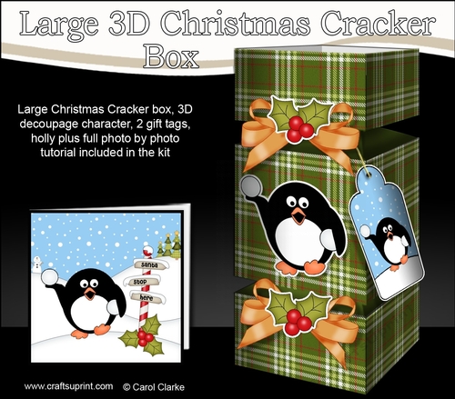 3D Large Christmas Cracker Box -  Tartan Pip Penguin