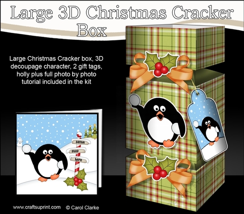 3D Large Christmas Cracker Box -  Tartan Pip Penguin