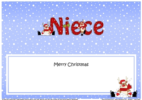 Large DL Merry Christmas NIECE insert with Rudolph