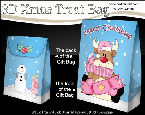 3D Christmas Gift Bag Mini Kit - Rudolph has an Xmas Cracker