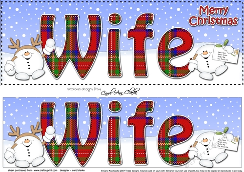 Large DL Merry Christmas WIFE 3D decoupage with Snowball Sam