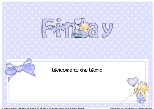 Large DL Welcome to the World FINLAY insert