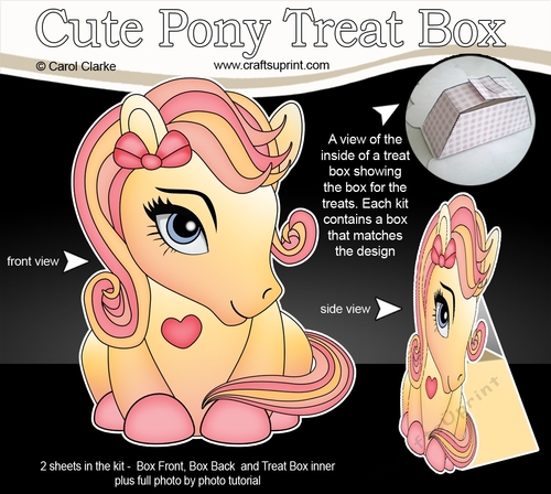 3D Cute Treat Box Gift Set Mini Kit - Cute Little Pony Amber