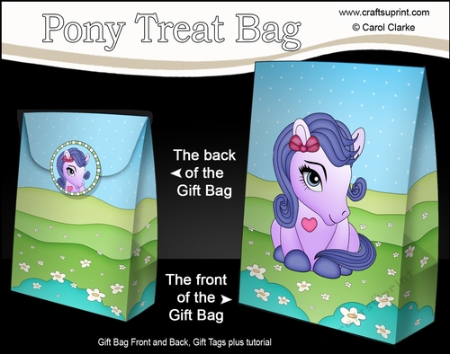 3D Gift Bag Mini Kit - Cute Little Pony Twilight 