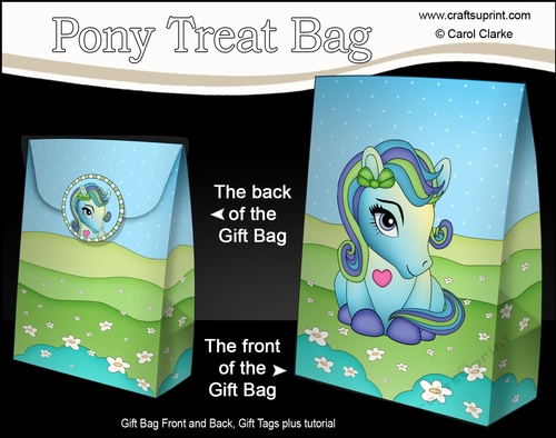 3D Gift Bag Mini Kit - Cute Little Pony Peppermint