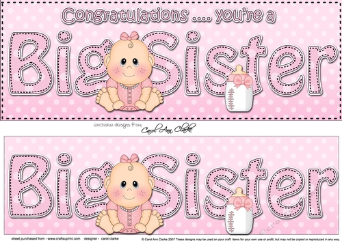 Large DL New Baby Congratulations you are a ... BIG SISTER  3D decoupage