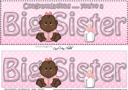 Large DL Ethnic New Baby Congratulations you are a ... BIG SISTER 3D decoupage