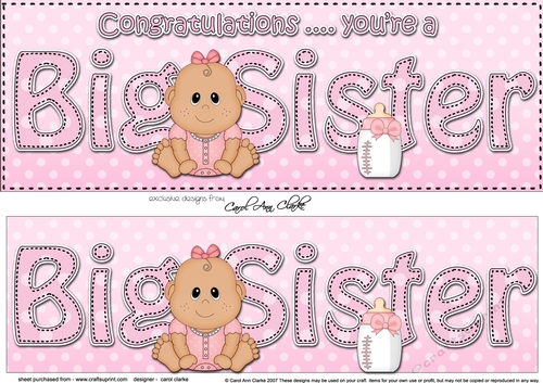 Large DL Ethnic New Baby Congratulations you are a ... BIG SISTER 3D decoupage