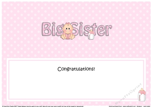 Large DL New Baby Congratulations you are a ... BIG SISTER insert