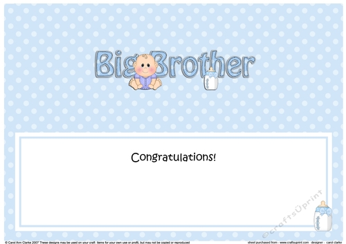 Large DL New Baby Congratulations you are a ... BIG BROTHER insert