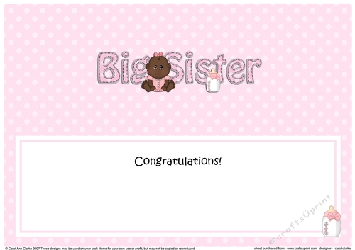Large DL ethnic New Baby Congratulations you are a ... BIG SISTER insert