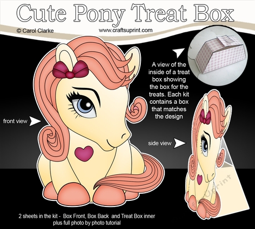 3D Cute Treat Box Gift Set Mini Kit - Cute Little Pony Buttercup 