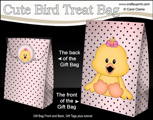 3D Gift Bag Mini Kit - Cute Little Chick Quackers