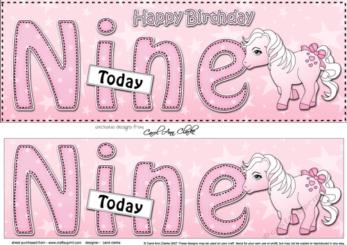 Large DL Happy Birthday NINE TODAY 3D decoupage