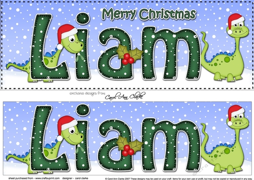 Large DL Merry Christmas  LIAM 3D decoupage 