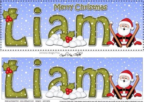 Large DL Merry Christmas  LIAM 3D decoupage 