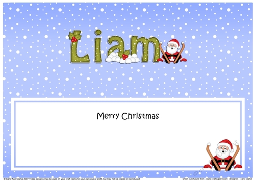 Large DL Merry Christmas LIAM insert