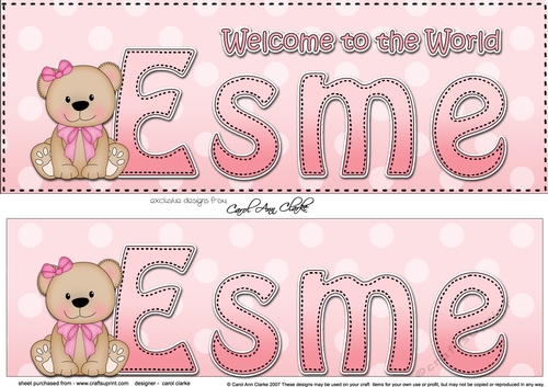 Large DL Welcome to the World ESME 3D decoupage