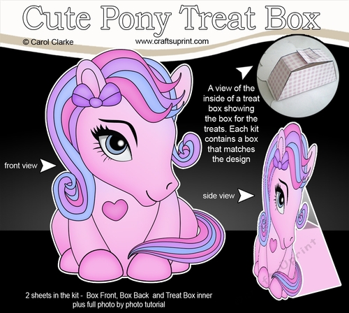 3D Cute Treat Box Gift Set Mini Kit - Cute Little Pony Princess