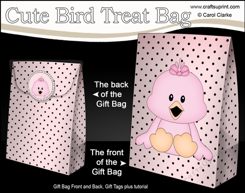 3D Gift Bag Mini Kit - Cute Little Chick Tweet