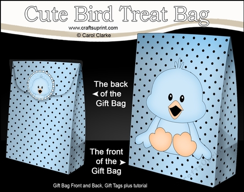 3D Gift Bag Mini Kit - Cute Little Chick Chirp