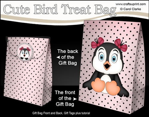 3D Gift Bag Mini Kit - Cute Little Pippa Penguin
