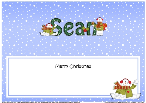 Large DL Merry Christmas SEAN insert